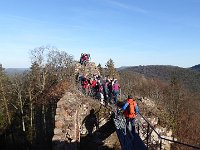 SORTIE CHATEAU FALKENSTEIN ROCHER DU FALKENBERG 08 02 2019 18